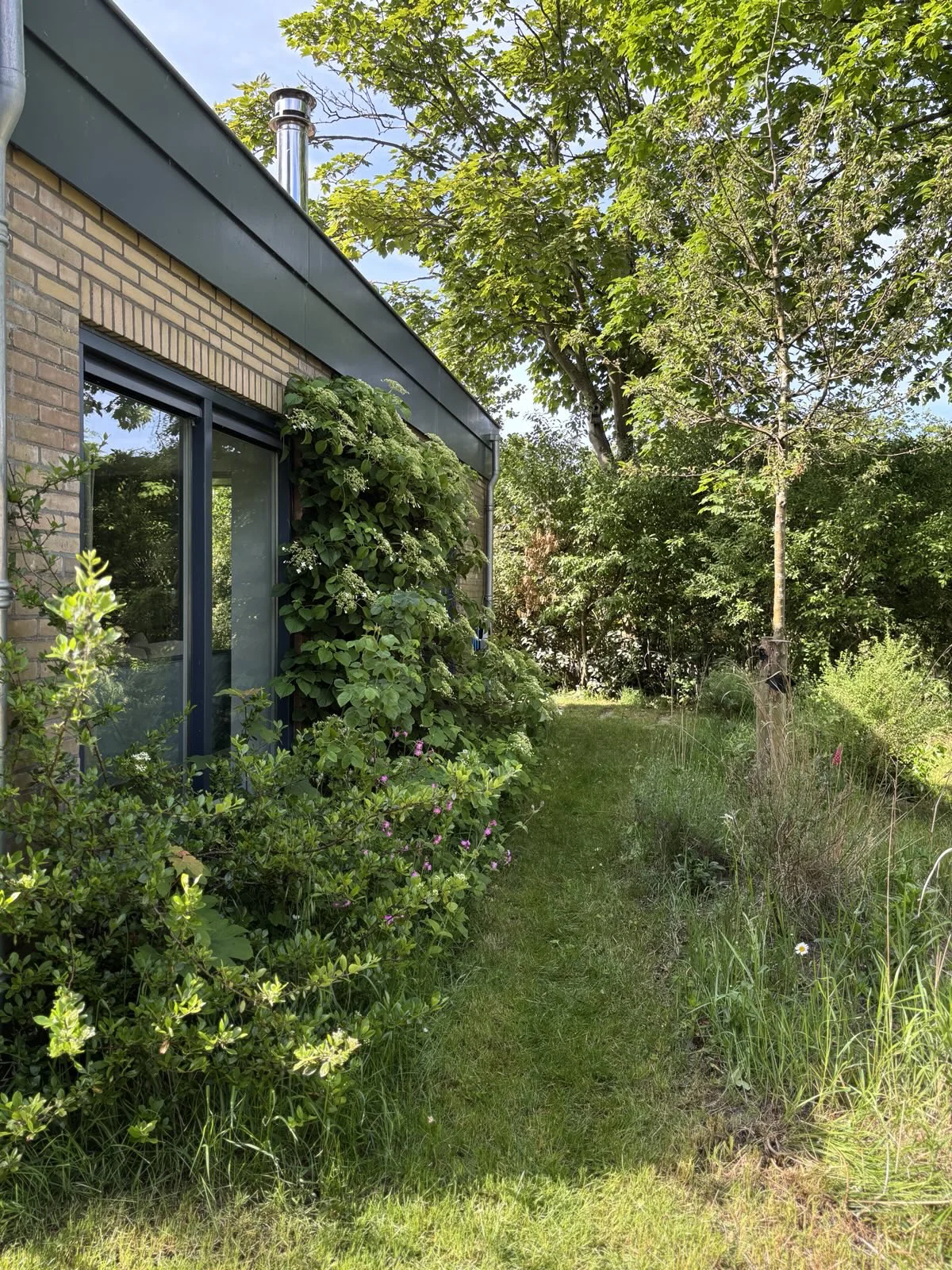 Bloeiende planten langs de gevel