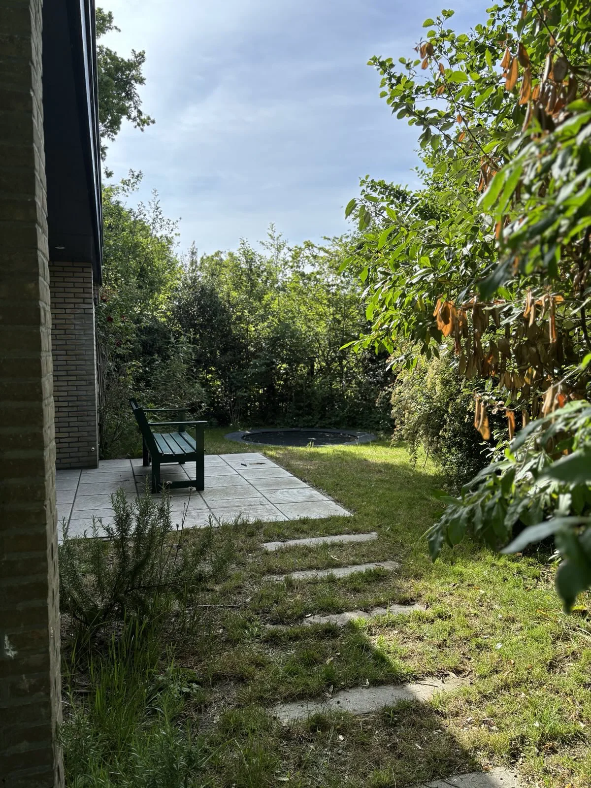 Het terras naast het huisje