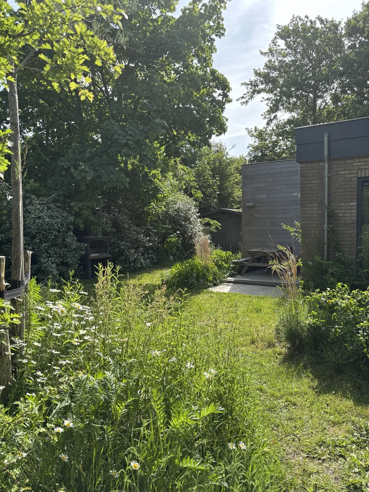 Een groen tuinpad tussen de beplanting