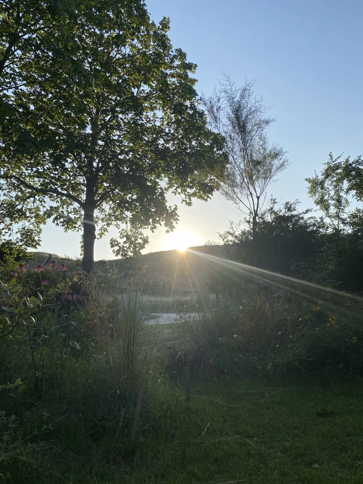 De zon zakt achter het duin