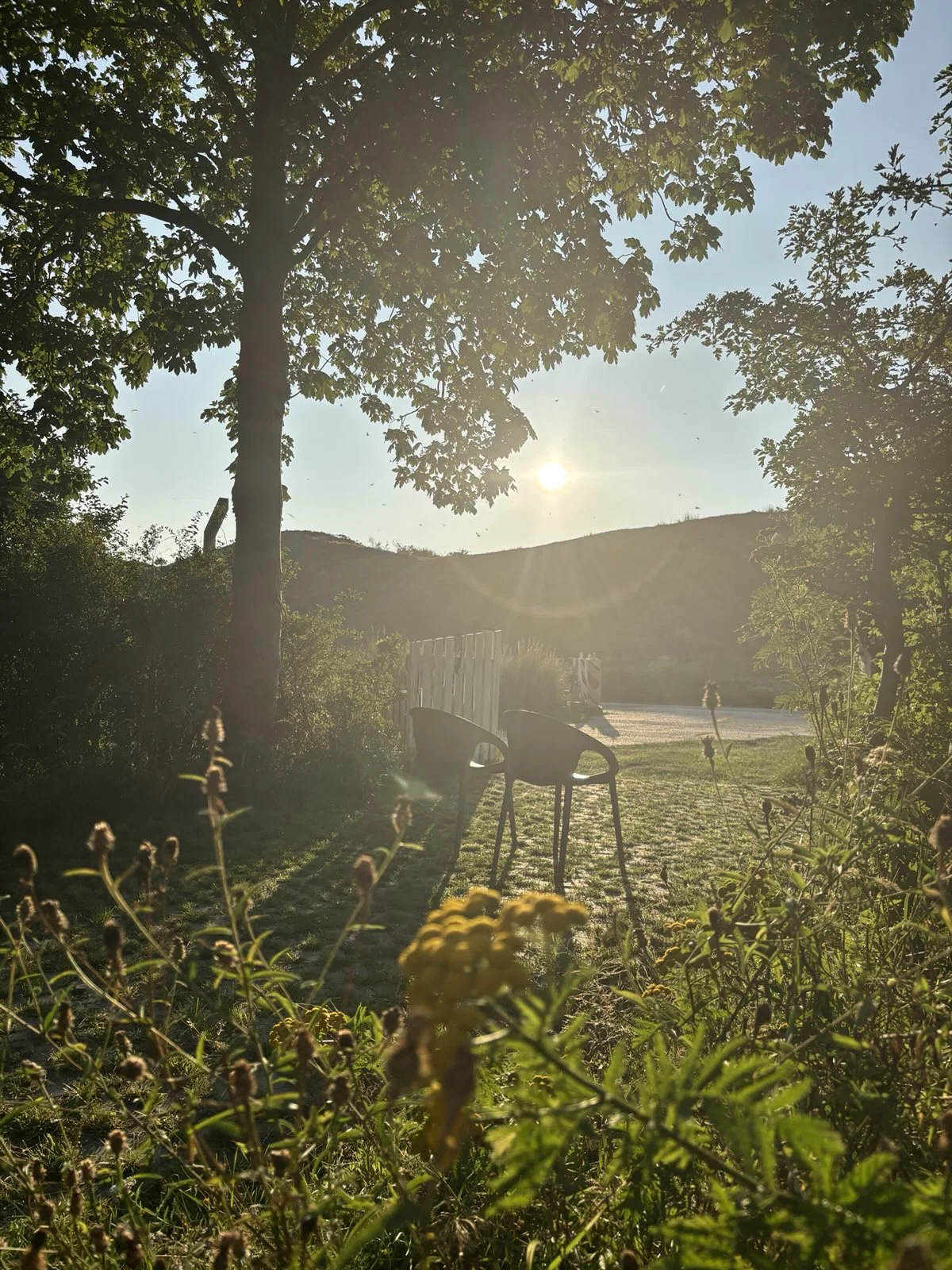 Twee tuinstoelen tussen bloemen en bomen, met de avondzon boven het duin